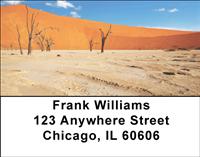 Desert Trees Address Labels