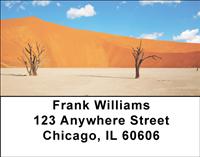 Desert Trees Address Labels