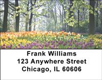 Spring Has Sprung Address Labels