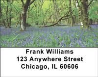 Spring Has Sprung Address Labels