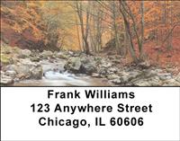 Autumn Beauty Address Labels
