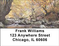 Autumn Beauty Address Labels