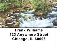 Rain Forest Rivers Address Labels