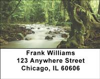 Rain Forest Rivers Address Labels