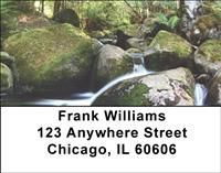 Rain Forest Rivers Address Labels