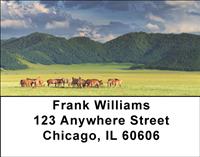 Horse Farms Address Labels