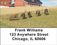 Horse Farms Address Labels