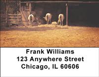 Horse Farms Address Labels