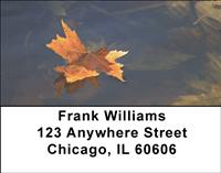 Autumn Leaf Address Labels