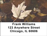 Autumn Leaf Address Labels