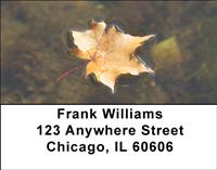 Autumn Leaf Address Labels