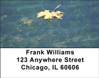 Autumn Leaf Address Labels