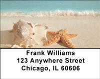 Seashells Address Labels