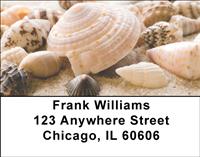 Seashells Address Labels