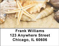 Seashells Address Labels