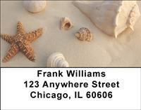 Seashells Address Labels