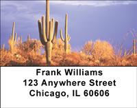 Desert Cacti Address Labels