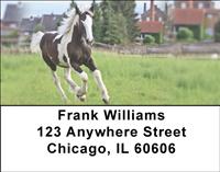 Gypsy Horses Address Labels