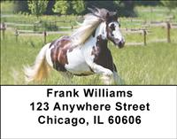 Gypsy Horses Address Labels