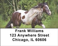 Gypsy Horses Address Labels