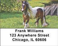 Gypsy Horses Address Labels