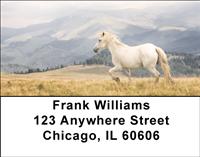 Running Free Address Labels