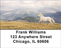 Running Free Address Labels