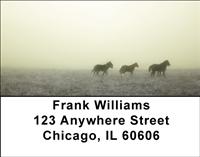Horses in the Mist Address Labels