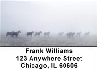 Horses in the Mist Address Labels