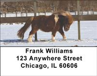 Shetland Ponies Address Labels