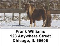 Shetland Ponies Address Labels