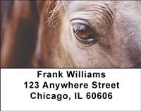 Horse Eyes Address Labels