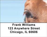 Horse Eyes Address Labels