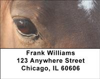 Horse Eyes Address Labels