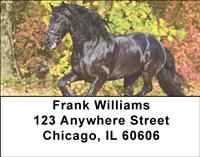 Friesian Stallions Address Labels
