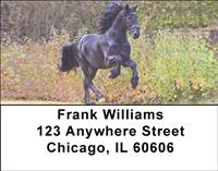 Friesian Stallions Address Labels