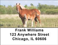 Mares and Foals Address Labels