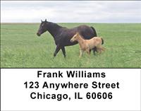 Mares and Foals Address Labels