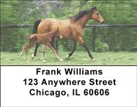 Mares and Foals Address Labels