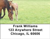 Mares and Foals Address Labels