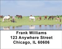 Drinking Horses Address Labels