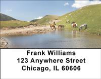 Drinking Horses Address Labels