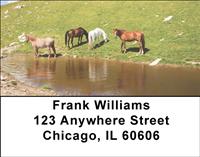Drinking Horses Address Labels