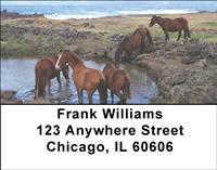 Drinking Horses Address Labels