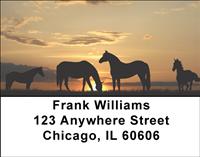 Sunset Horses Address Labels