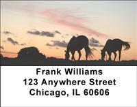 Sunset Horses Address Labels