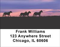Sunset Horses Address Labels