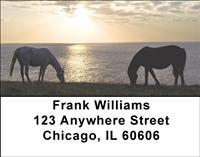 Sunset Horses Address Labels