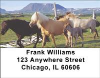 Stable Friends Address Labels