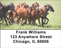 Stable Friends Address Labels